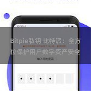 Bitpie私钥 比特派：全方位保护用户数字资产安全