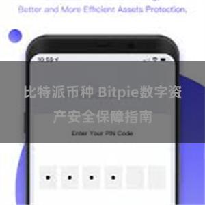 比特派币种 Bitpie数字资产安全保障指南