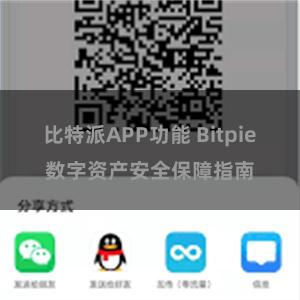 比特派APP功能 Bitpie数字资产安全保障指南