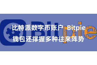 比特派数字币账户  Bitpie钱包还撑握多种往来阵势