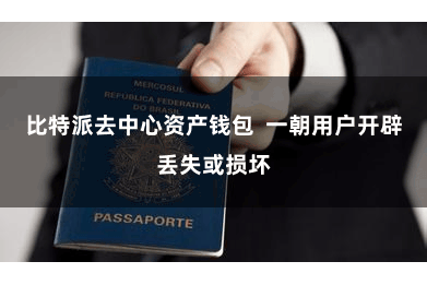 比特派去中心资产钱包  一朝用户开辟丢失或损坏