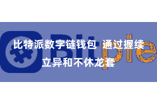 比特派数字链钱包  通过握续立异和不休龙套